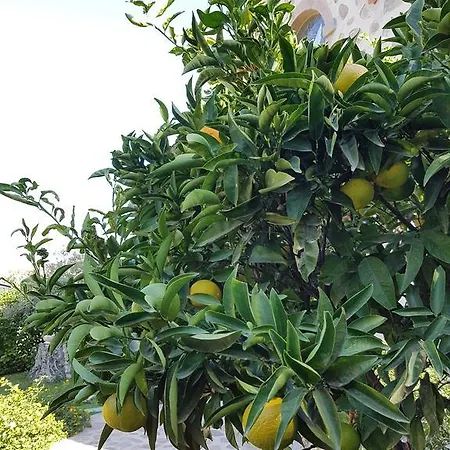 Villa Ortakent Villa Ortakent