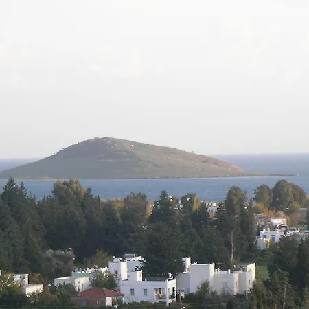 Ortakent Villa Villa